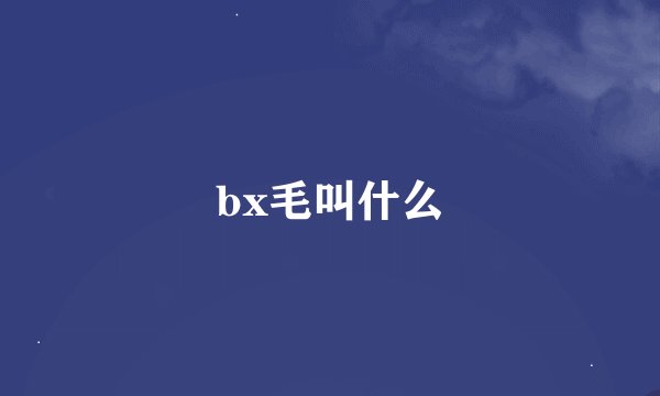 bx毛叫什么