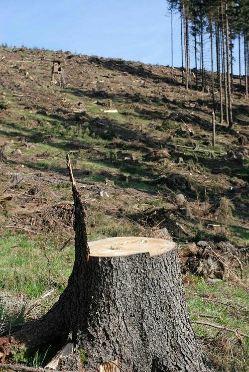 广西一森林公园山体滑坡，哪些原因会造成山体滑坡？