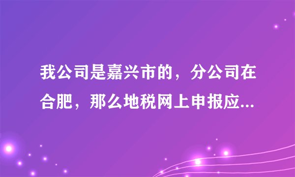 我公司是嘉兴市的，分公司在合肥，那么地税网上申报应该怎么操作？