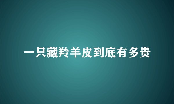 一只藏羚羊皮到底有多贵