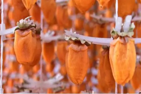 涩柿子怎么催熟最简单的方法