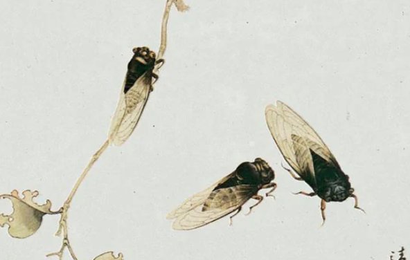 古诗《蝉》带拼音全文