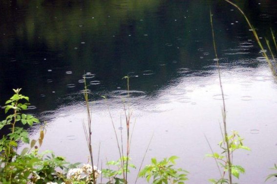 跟雨有关的古诗
