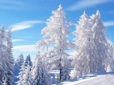 描写雪景超唯美的段落有哪些？