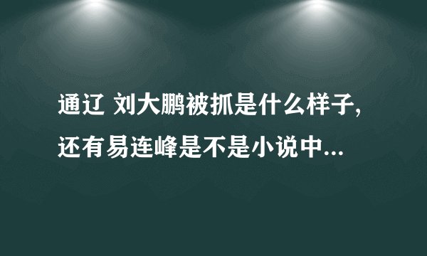 通辽 刘大鹏被抓是什么样子,还有易连峰是不是小说中的红兵大哥