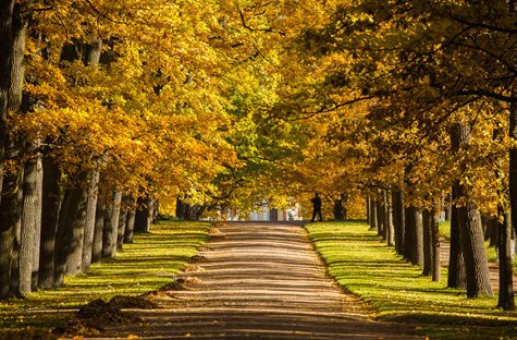 如何看待景区封锁7个月只接待1名游客这件事呢？