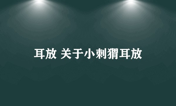 耳放 关于小刺猬耳放