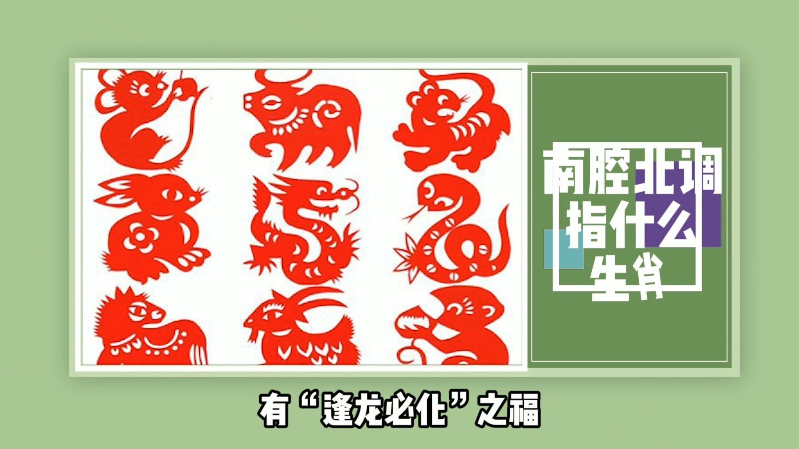 南腔北调指什么生肖?