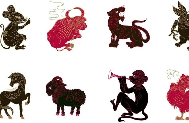 缩地补天猜一生肖