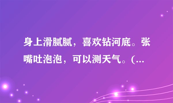 身上滑腻腻，喜欢钻河底。张嘴吐泡泡，可以测天气。(打一动物名)