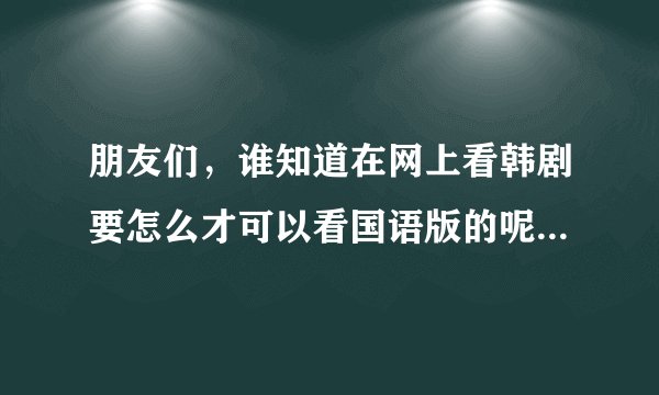 朋友们，谁知道在网上看韩剧要怎么才可以看国语版的呢！急！！