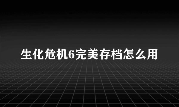 生化危机6完美存档怎么用