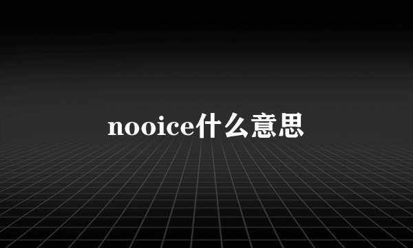 nooice什么意思