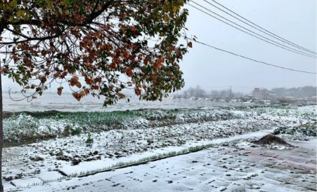 山河无恙人间皆安是什么意思？