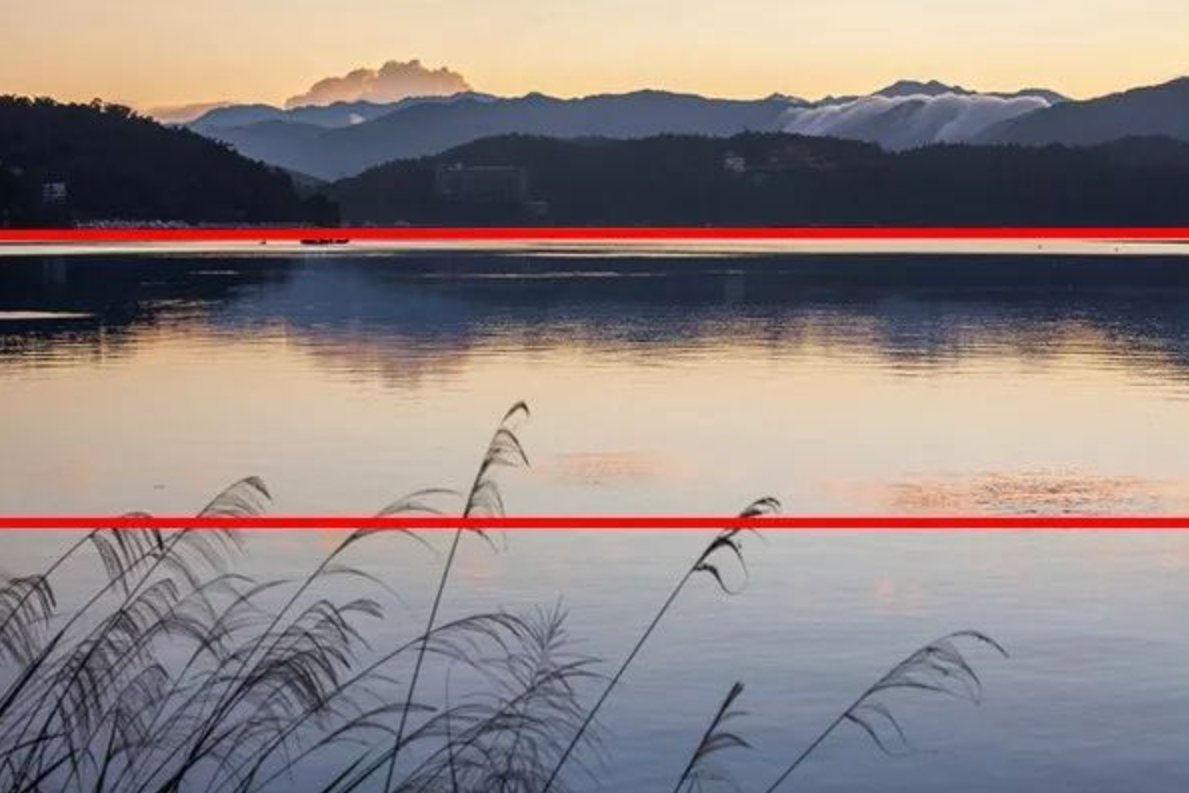 vertical是什么意思