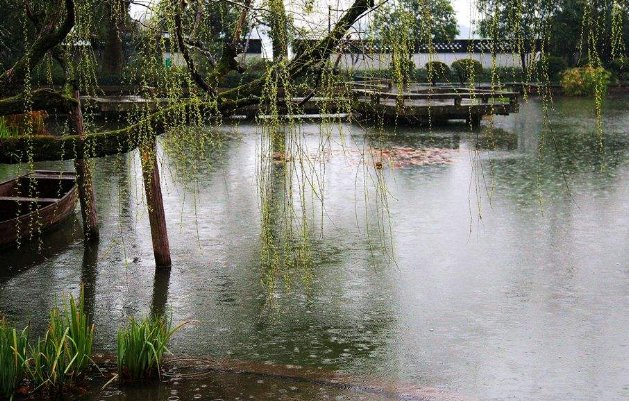 密密的春雨像什么填空