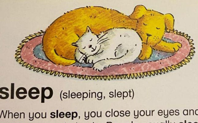 sleep是什么意思