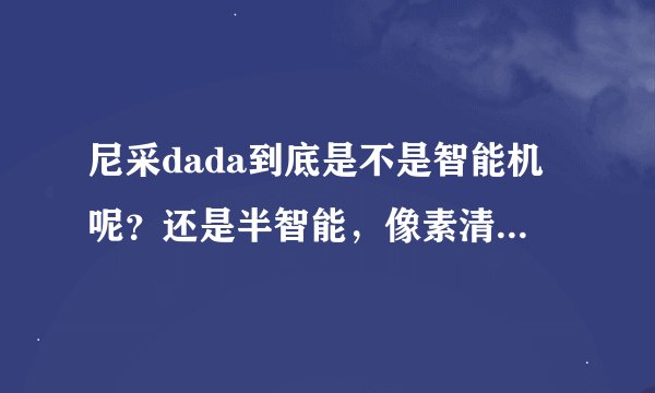 尼采dada到底是不是智能机呢？还是半智能，像素清晰吗？我咨询的时候说有500万，真的是500万马？