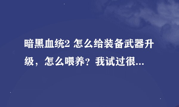 暗黑血统2 怎么给装备武器升级，怎么喂养？我试过很多次好像都没有升级的提示，请问具体怎么操作？