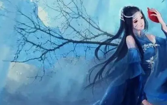 路南辞阮景小说