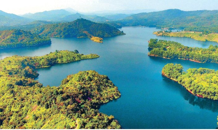 20世纪中国获得无毒国美誉近30年是什么年代到什么年代