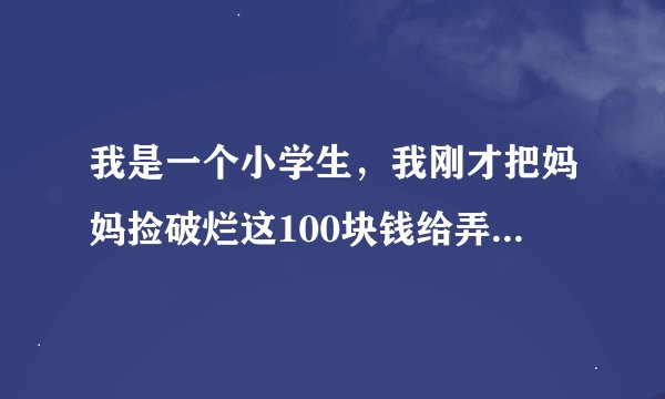 我是一个小学生，我刚才把妈妈捡破烂这100块钱给弄丢了，都是我给家里买东西的钱，这下丢了我该怎么办