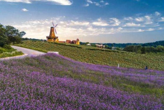 景区发免费票后又索要儿童票,景区这么做对吗?