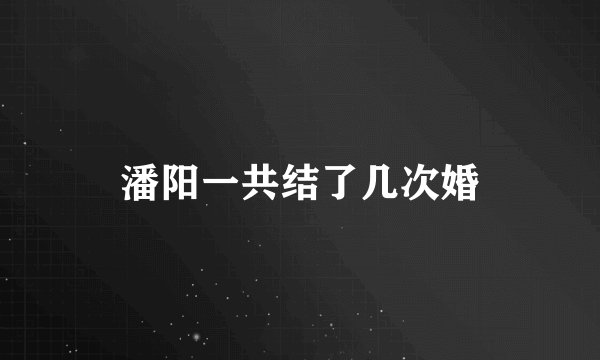 潘阳一共结了几次婚