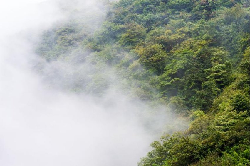 大雾漫天的意思