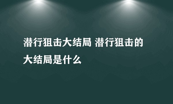 潜行狙击大结局 潜行狙击的大结局是什么