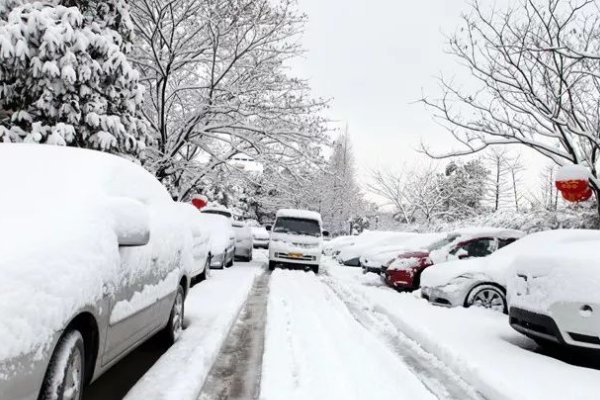 沈阳8日全市学校停课一天，停课的原因是什么？