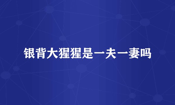 银背大猩猩是一夫一妻吗