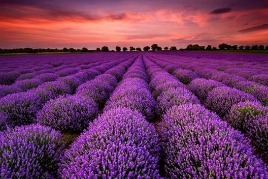 景区发免费票后又索要儿童票,景区这么做对吗?