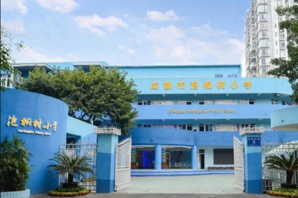 泡桐树小学一年要花多少钱？