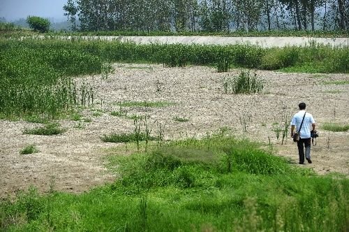 受高温影响!湖北旱情严重超过100万人参与抗旱,如何有成效的抗旱?