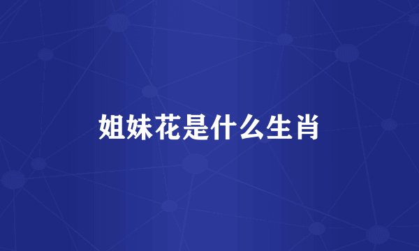 姐妹花是什么生肖