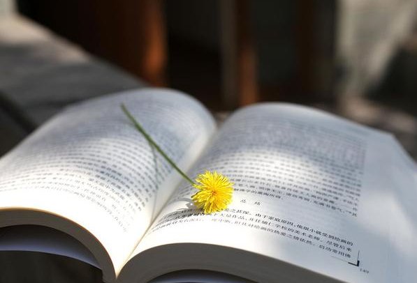 陈寔晓喻梁上君子文言文翻译及原文