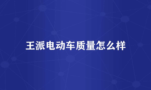 王派电动车质量怎么样