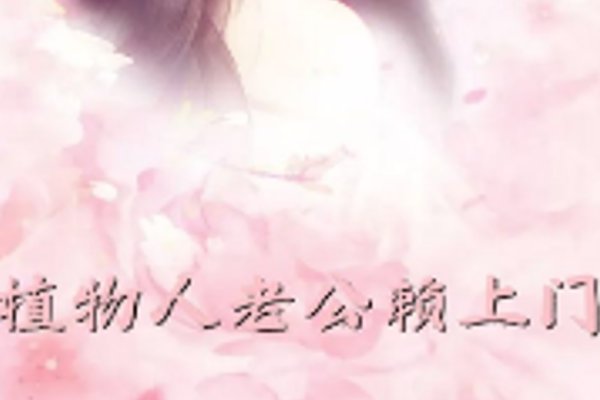 薛宜宁骆晋云是什么小说