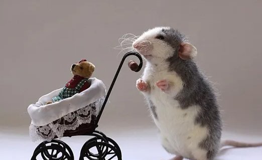 潦草塞责打一生肖动物