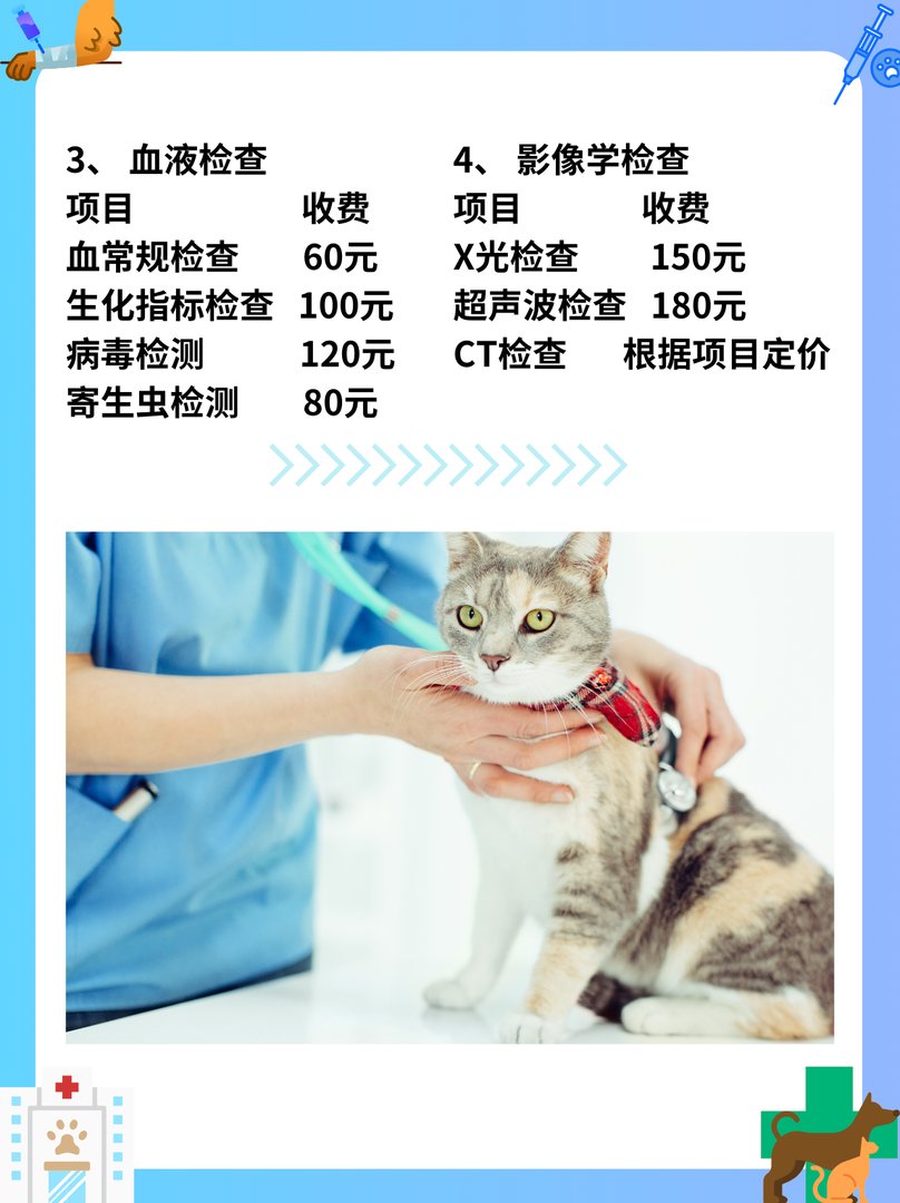 宠物医院收费价目表