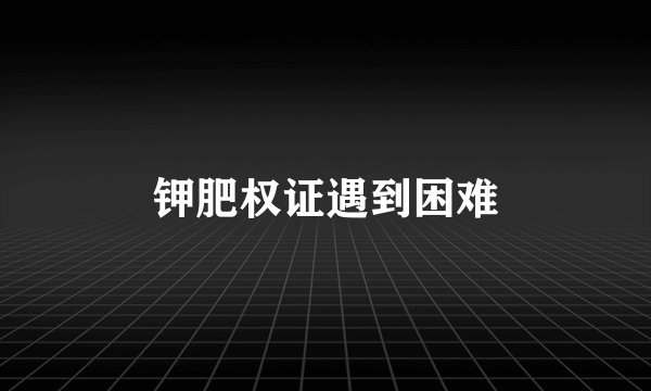 钾肥权证遇到困难