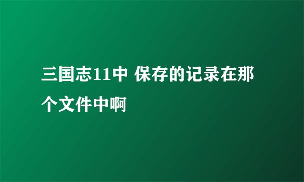 三国志11中 保存的记录在那个文件中啊
