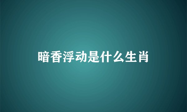 暗香浮动是什么生肖