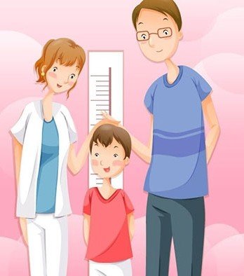 增高网的认识误区