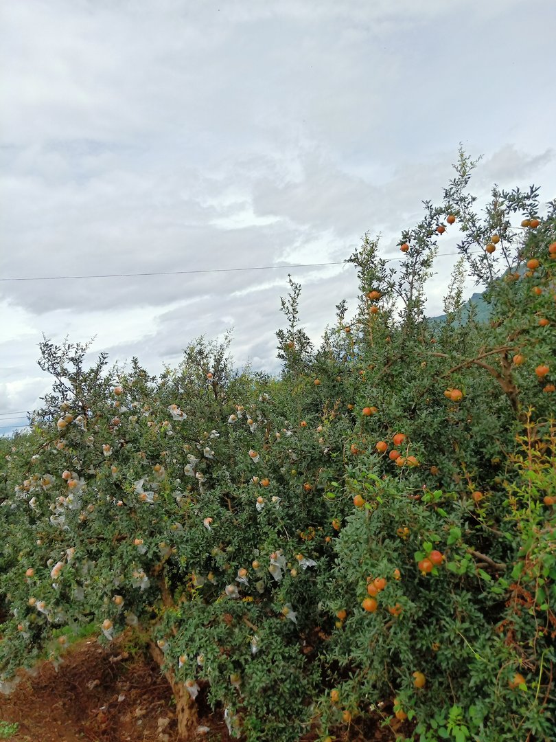 试问 天下有那个男人愿意和别人一起分享自己的老婆？