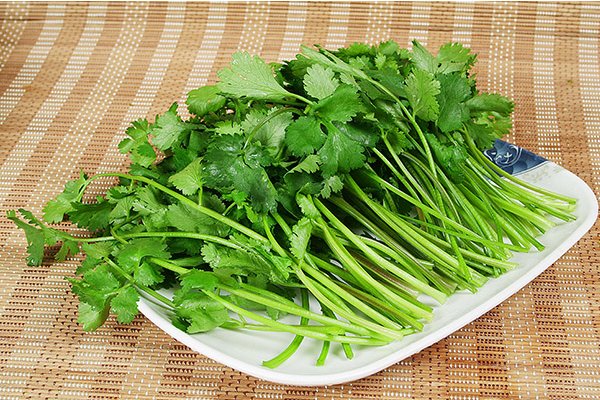 10种植物的传播方式