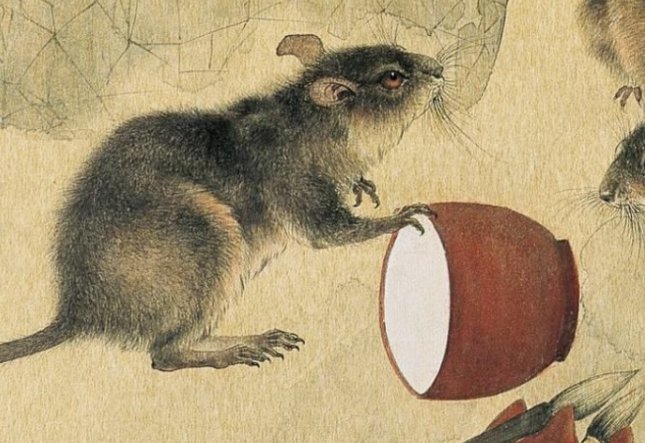 英勇善战指什么生肖