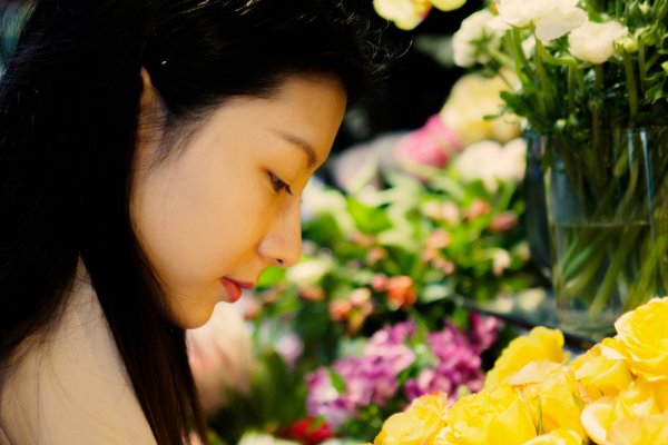 心灵港湾是什么意思，怎样形容和理解