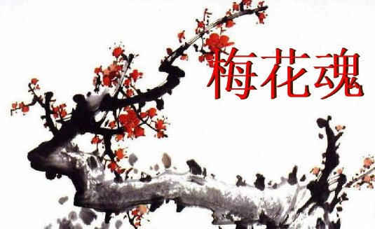 具有梅花秉性的人是怎样的人